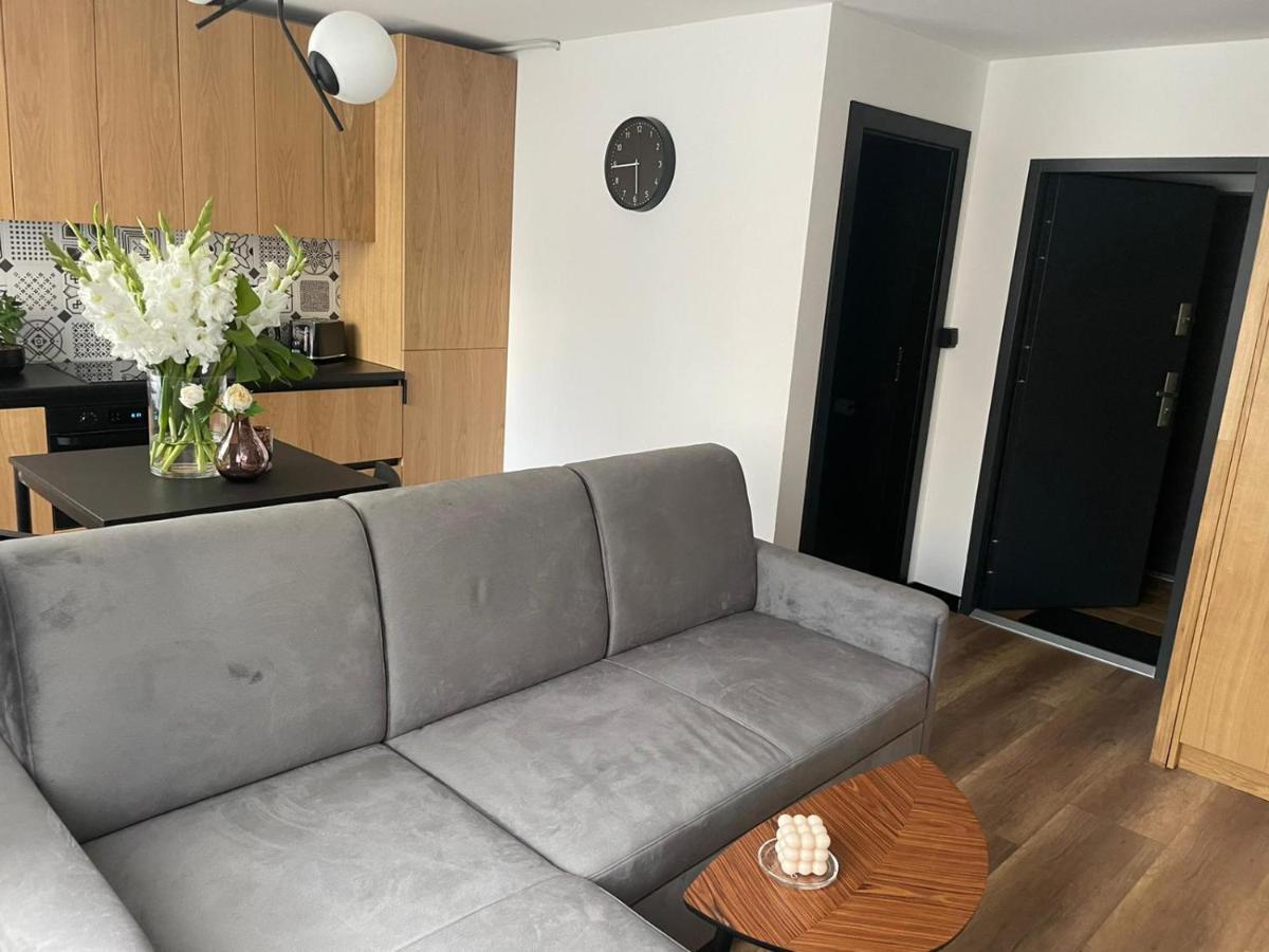 Apartamenty Nadrzeczna 14 Karpacz Exterior photo
