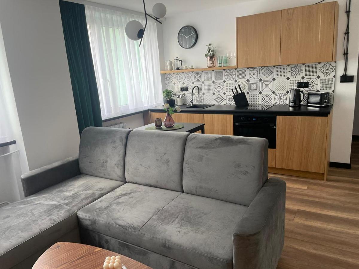 Apartamenty Nadrzeczna 14 Karpacz Exterior photo