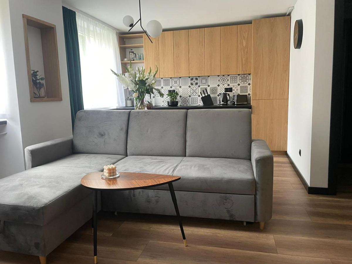 Apartamenty Nadrzeczna 14 Karpacz Exterior photo